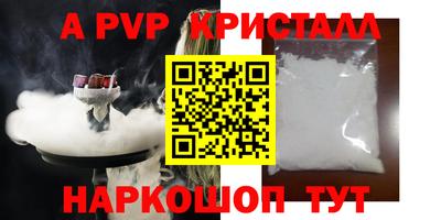 стафф Кингисепп