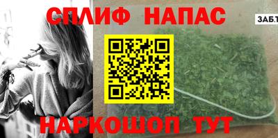 стафф Кингисепп