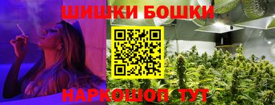 стафф Кингисепп