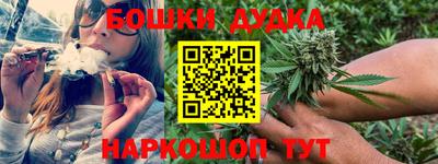 стафф Кингисепп
