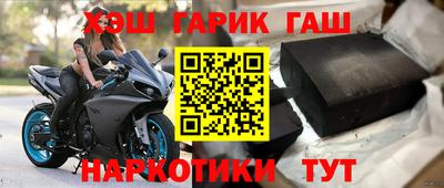 стафф Кингисепп