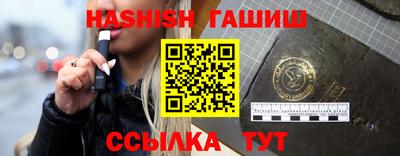 стафф Кингисепп