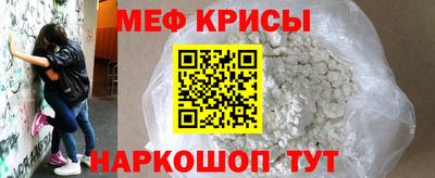 стафф Кингисепп