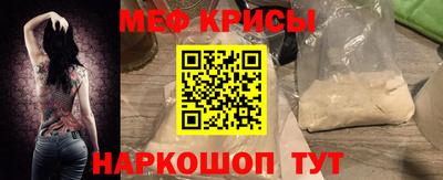 стафф Кингисепп