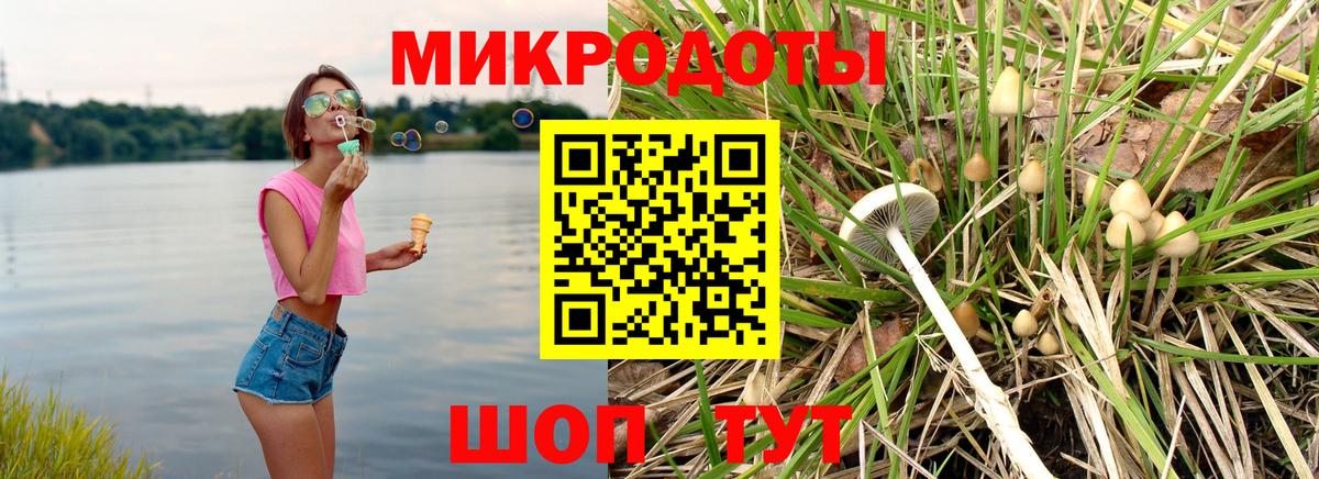 Галлюциногенные грибы Psilocybine cubensis Кувандык
